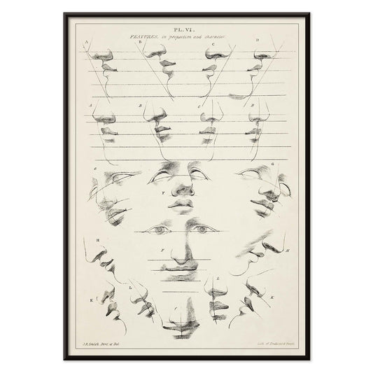 John Rubens Smith human figure drawing study poster with black and white facial feature sketches, with black aluminium frame on white background