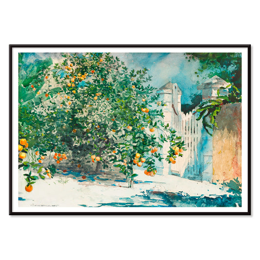 Orange Trees And Gate by Winslow Homer watercolor painting poster featuring lush orange trees and a white picket gate in a sunny garden scene, with black aluminium frame on white background