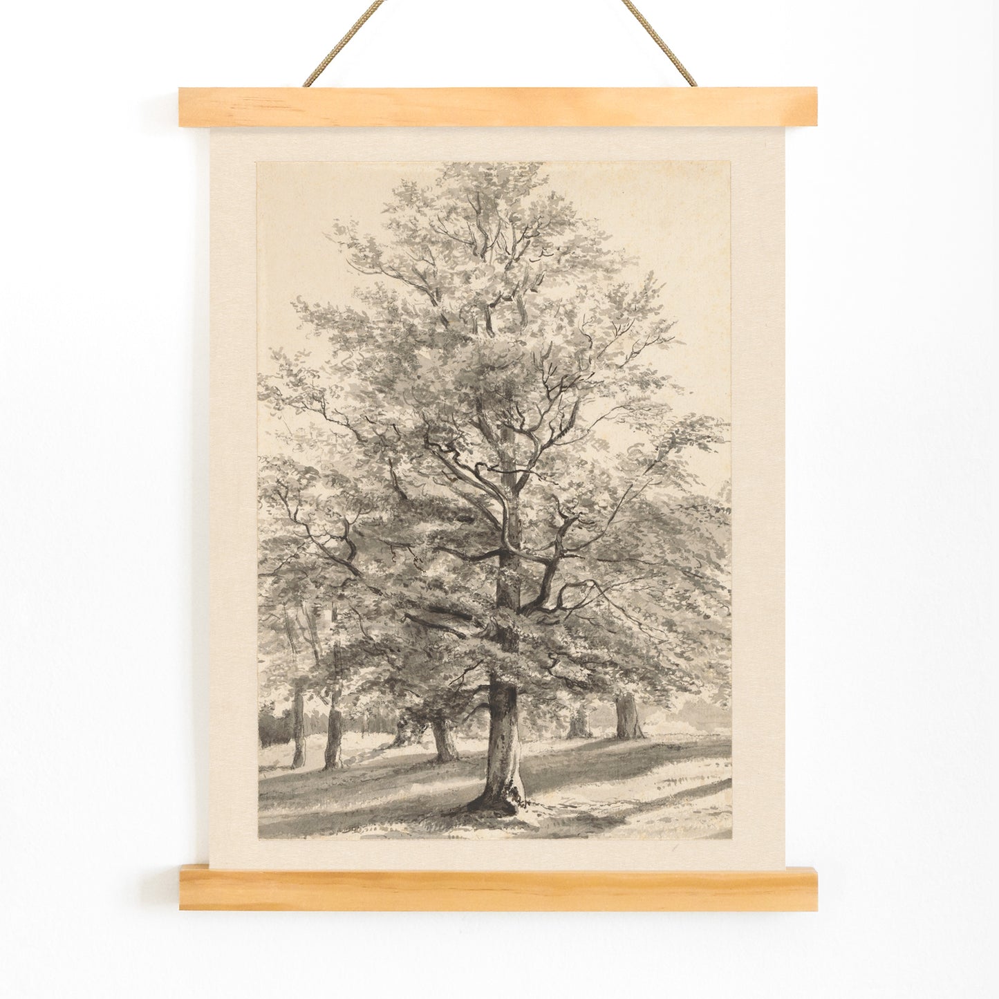 Detailed drawing of a large tree in a sunlit natural landscape titled Big Tree by Cornelis Steffelaar poster, with wooden magnetic frame on white background