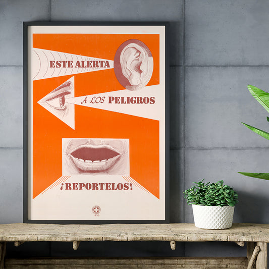 , framed and displayed in home decor