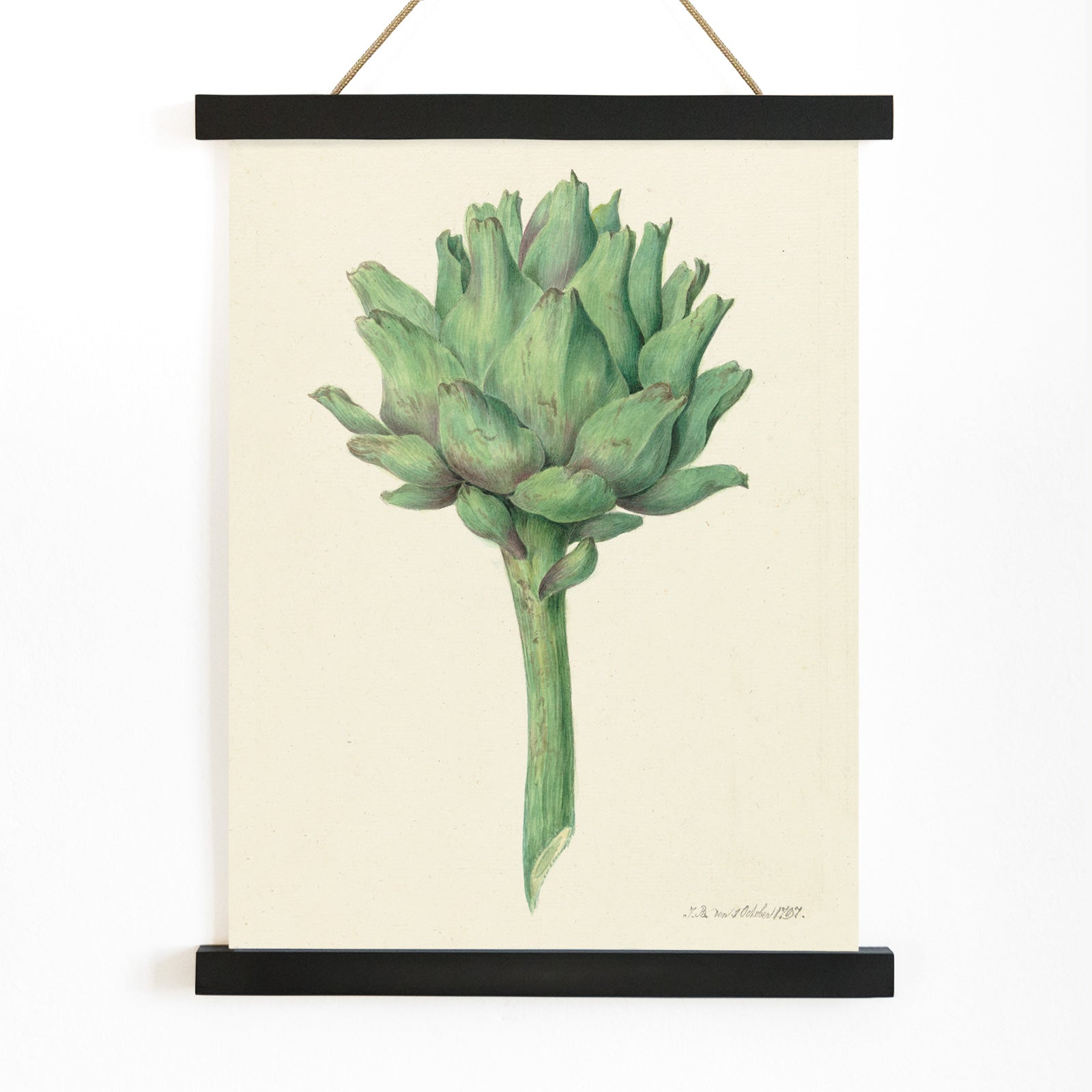 Botanical illustration poster of a green artichoke by Jean Bernard detailed artwork, with wooden magnetic frame on white background
