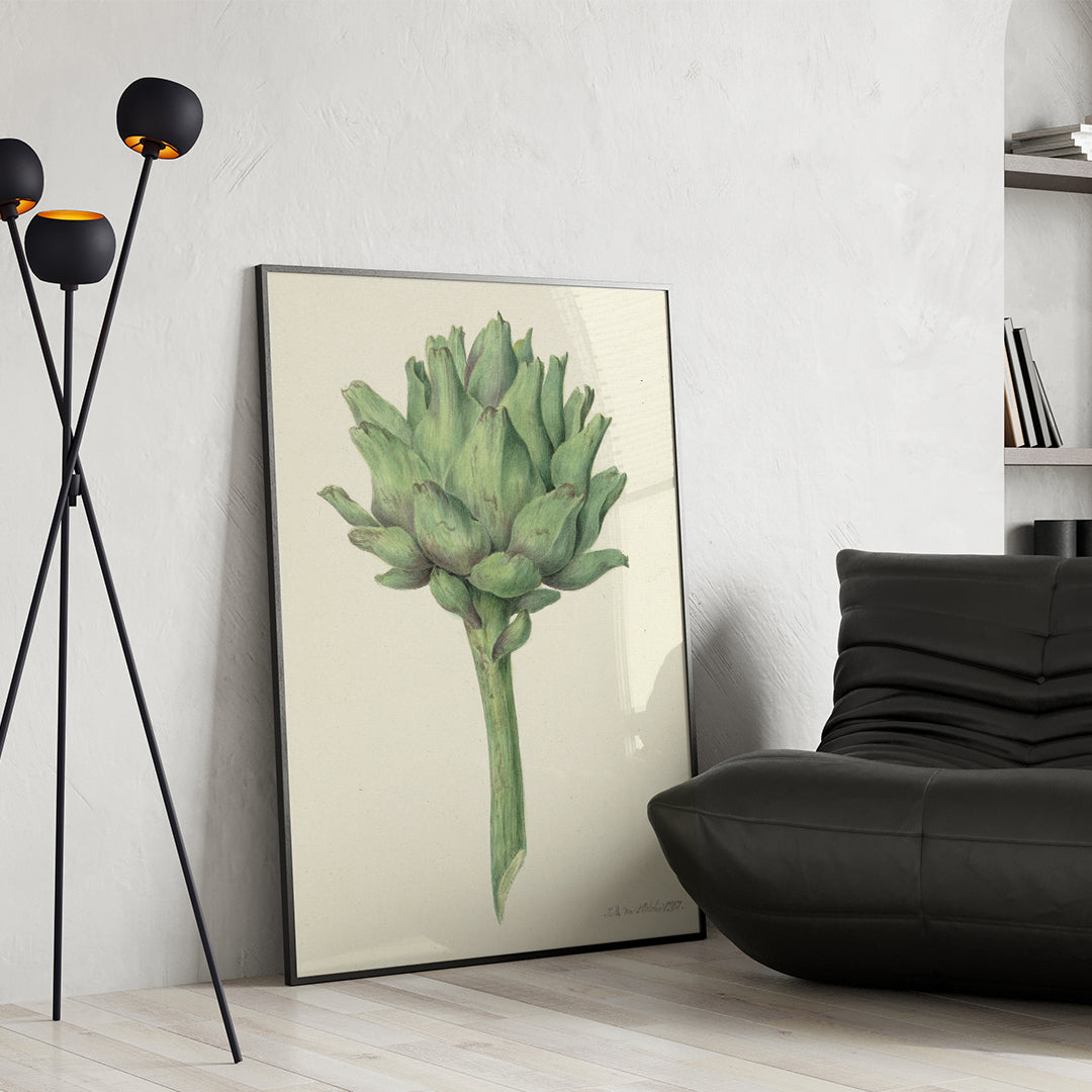 Botanical illustration poster of a green artichoke by Jean Bernard detailed artwork, framed and displayed in home decor
