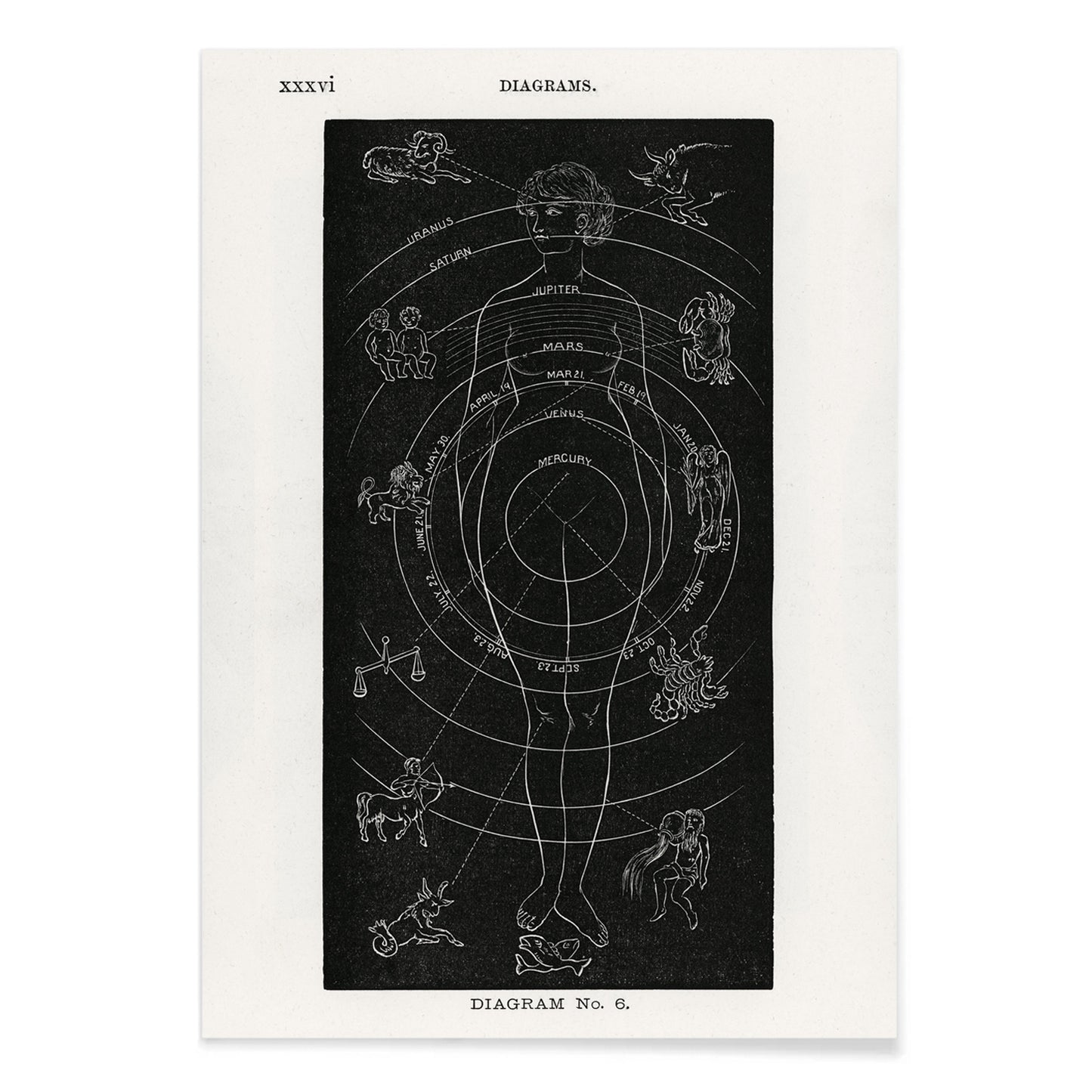 Astrological human body diagram and poster with zodiac signs planets and symbols by Hiram Erastus Butler from Solar Biology, with black aluminium frame on white background