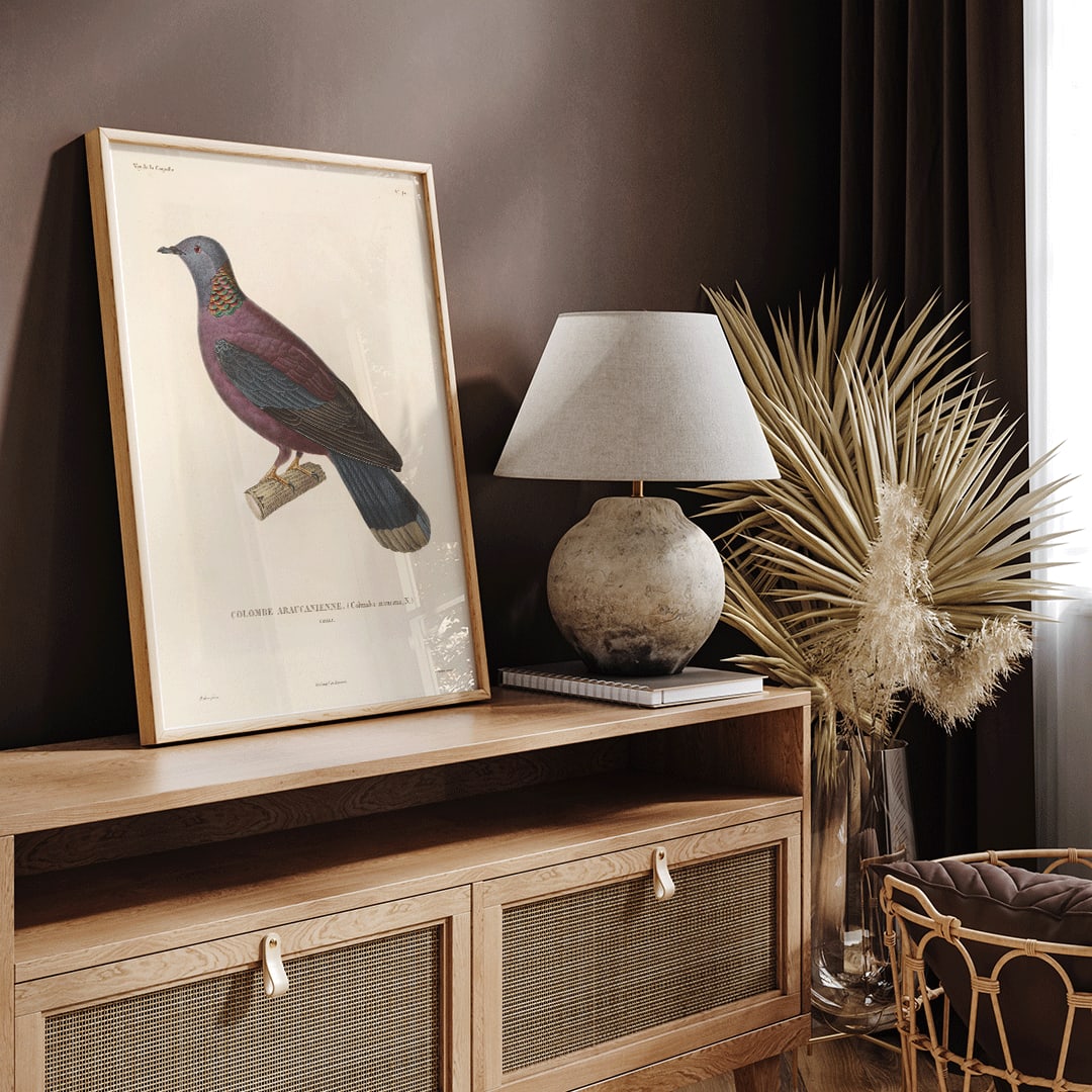 Colorful bird perched on a branch by Louis Isidore Duperrey from Voyage autour du monde Pl 148 illustration and poster, framed and displayed in home decor