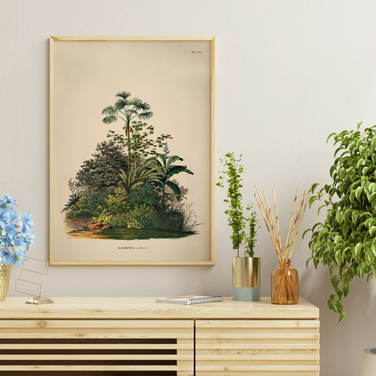 Botanical illustration poster of Mauritia Armata from Historia Naturalis Palmarum by Carl Friedrich Philipp von Martius featuring detailed tropical plants, framed and displayed in home decor