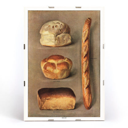Assorted bread loaves including domestic cottage French and graham from The Grocers Encyclopedia vintage artwork collection of baked bread types poster, framed and displayed in modern living room decor