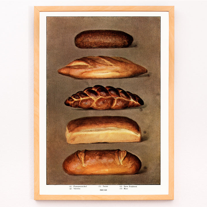 Closeup detail of Vintage illustration and poster of assorted bread loaves from The Grocers Encyclopedia classic artwork