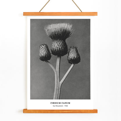 , with wooden magnetic frame on white background