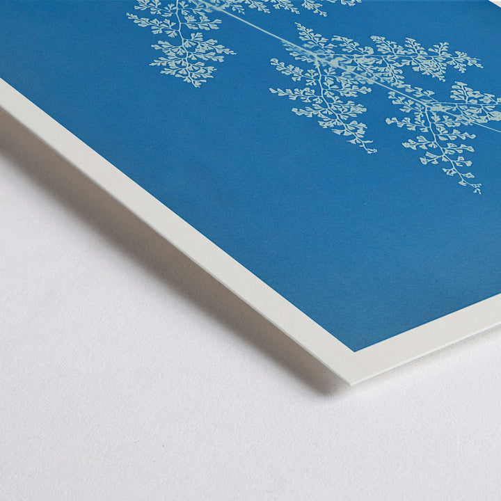 Closeup detail of Davallia aeuleata cyanotype artwork by Anna Atkins featuring a delicate botanical fern print on a blue background poster
