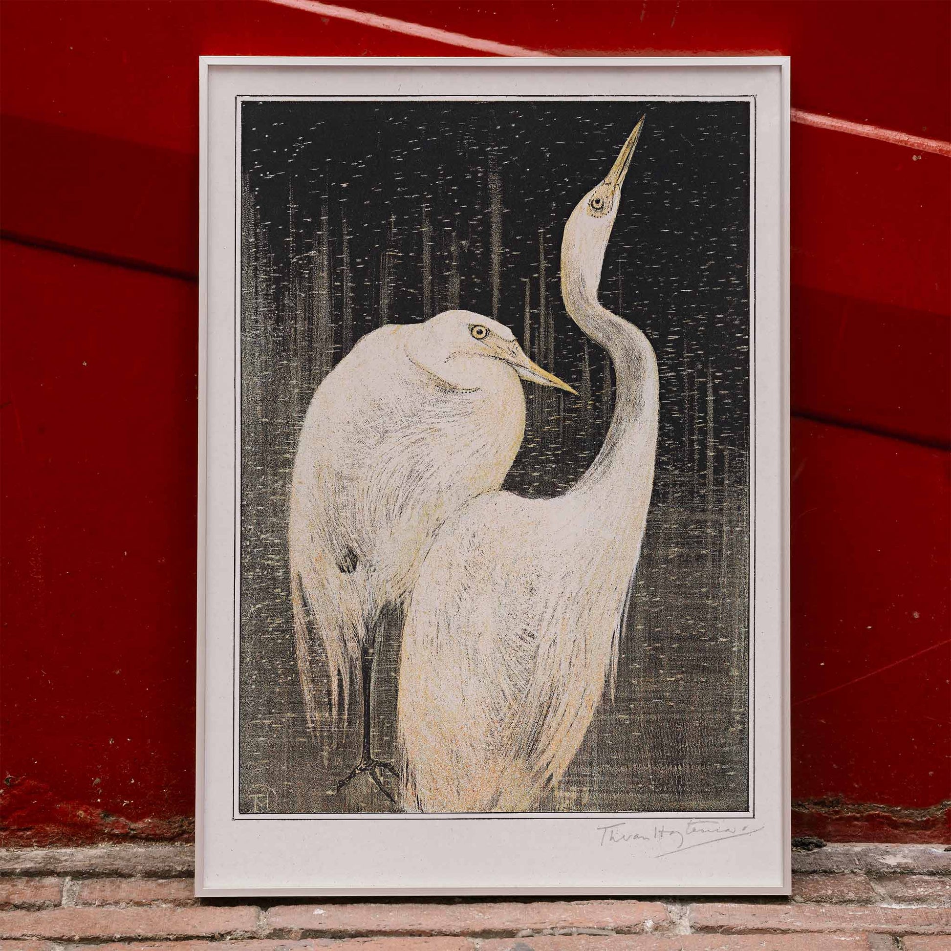 Two white herons depicted in artwork Twee zilverreigers by Theo van Hoytema poster suitable for wall decor against a dark background, framed and displayed in home decor