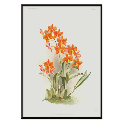 , with black aluminium frame on white background