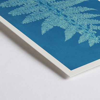 Closeup detail of Fern Cianotipia botanical cyanotype artwork by Anna Atkins showing a detailed fern against a blue background poster
