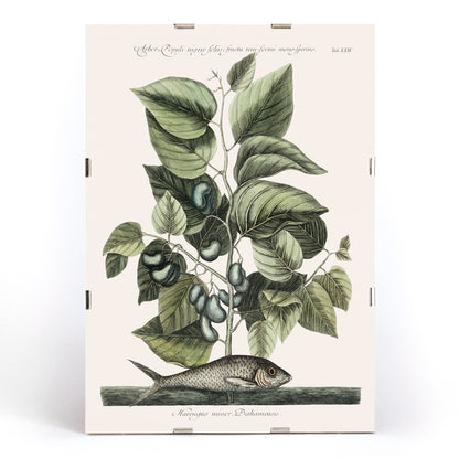 , framed and displayed in modern living room decor