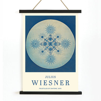 Frustules of Diatoms cyanotype artwork and poster by Julius Wiesner featuring intricate blue diatom designs on a circular background, with wooden magnetic frame on white background
