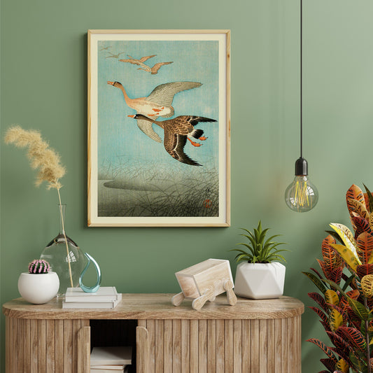 Flying Geese by Ohara Koson Japanese woodblock print poster with two geese flying over water and reeds artwork wall art print, framed and displayed in home decor