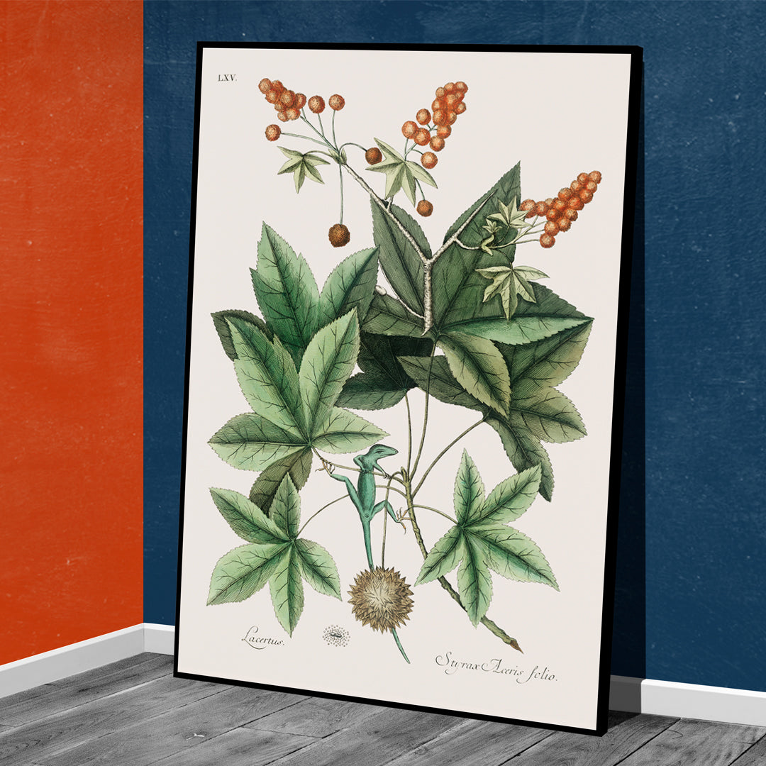 , framed and displayed in home decor