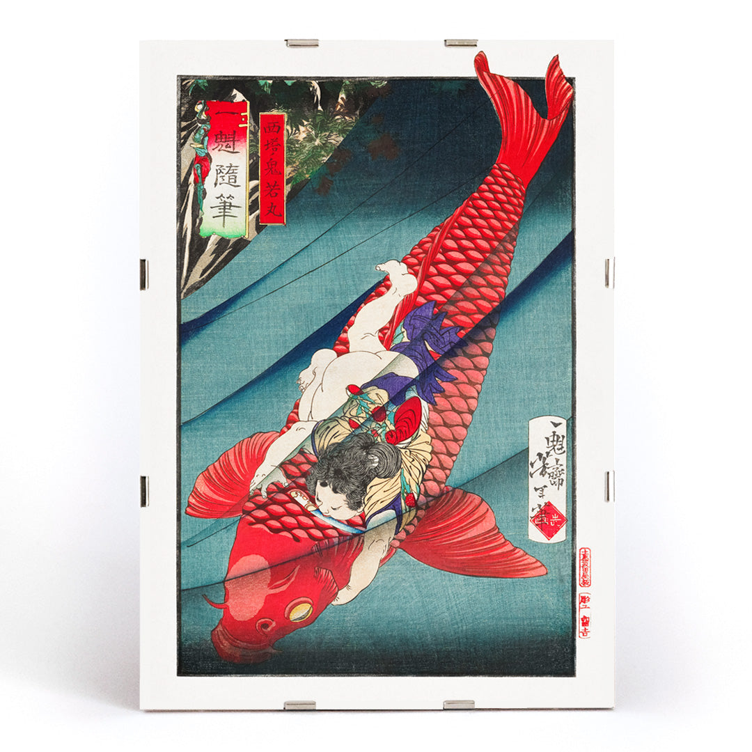 Young boy holding and wrestling a giant red koi fish in vibrant Japanese woodblock print Saito no Oniwakamaru by Tsukioka Yoshitoshi, framed and displayed in modern living room decor