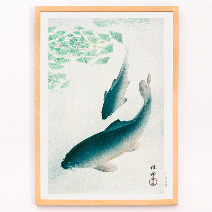 Closeup detail of Two koi fish swimming under water plants and near green lily pads artwork by Ohara Koson serene Japanese style