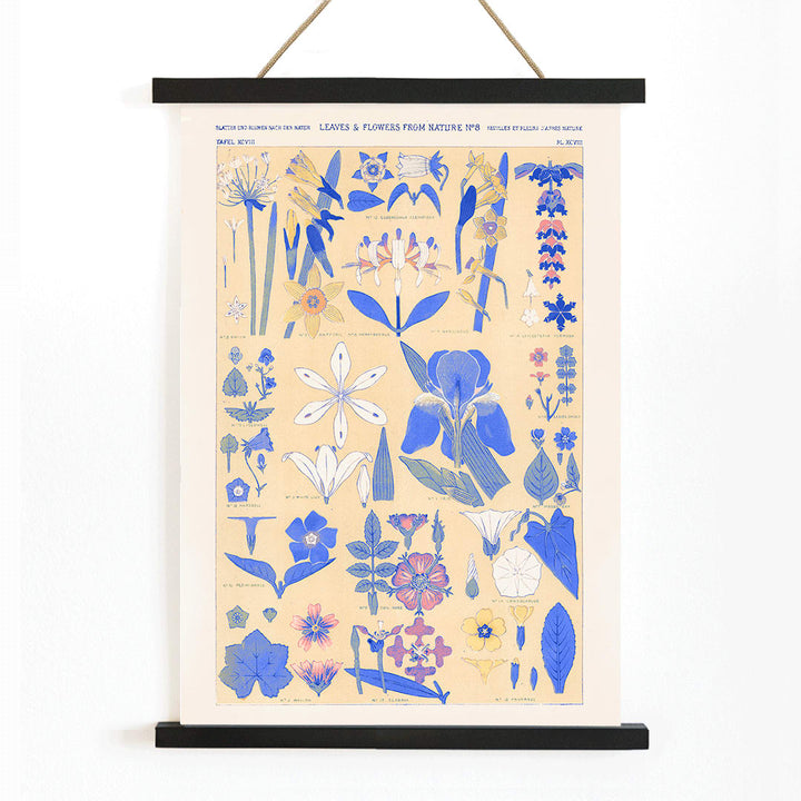 Blue set of leaves and flowers by Owen Jones botanical illustration poster featuring blue and yellow flowers and leaves, with wooden magnetic frame on white background