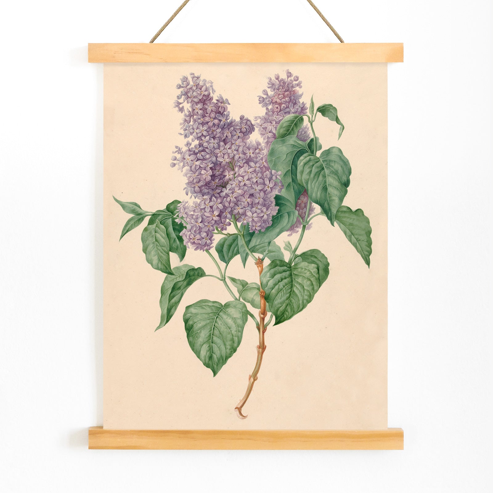 Botanical illustration poster of purple lilacs with green leaves titled Purple Lilacs by Maria Geertruida Barbiers-Snabilie, with wooden magnetic frame on white background
