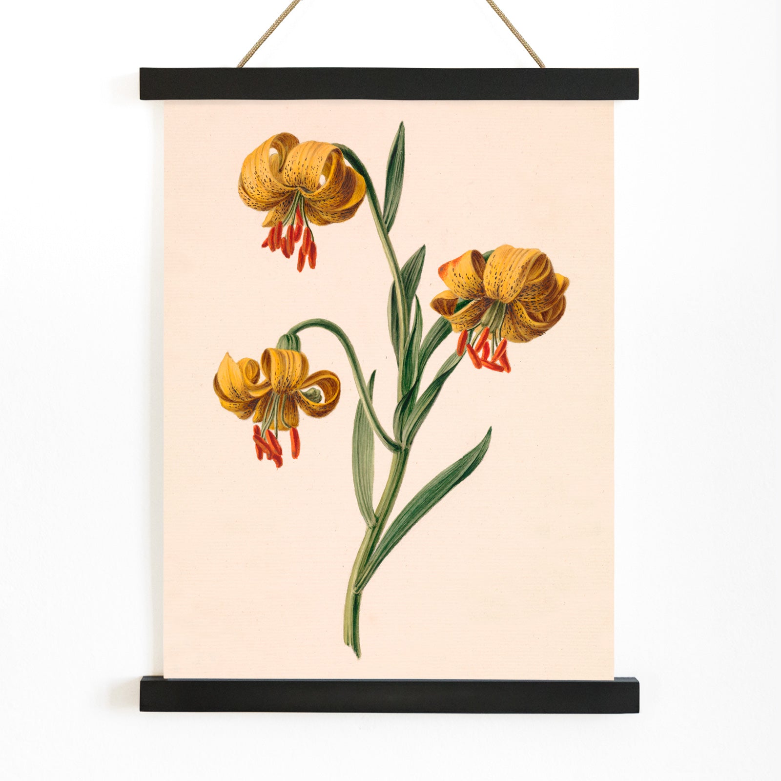 Botanical illustration poster of three yellow lilies by M de Gijselaar, with wooden magnetic frame on white background