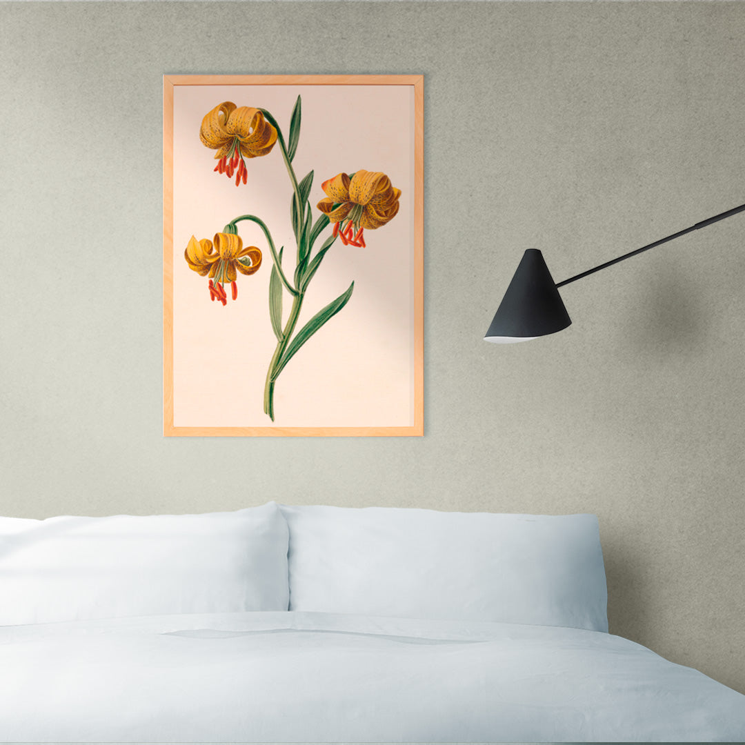 Botanical illustration poster of three yellow lilies by M de Gijselaar, framed and displayed in home decor