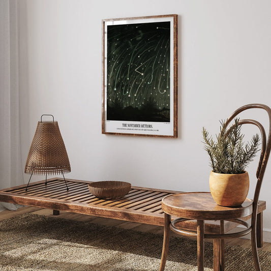 The November Meteors by E L Trouvelot night sky artwork poster featuring bright meteors streaking above a dark landscape, framed and displayed in home decor