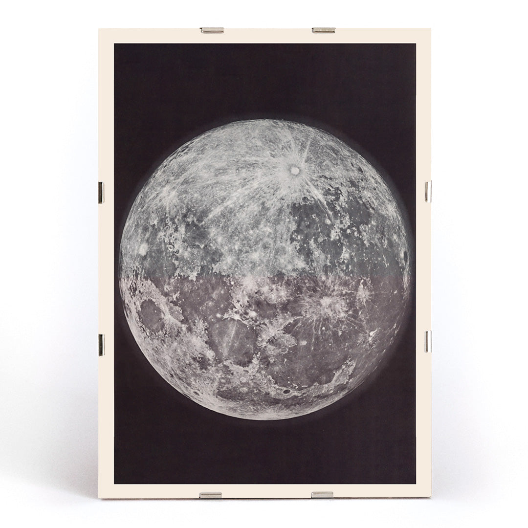 , framed and displayed in modern living room decor