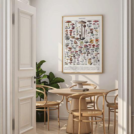 Mushrooms colour plate 2 by Editions Larousse featuring various mushroom illustrations and species, framed and displayed in home decor
