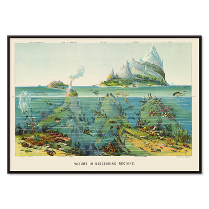 , with black aluminium frame on white background