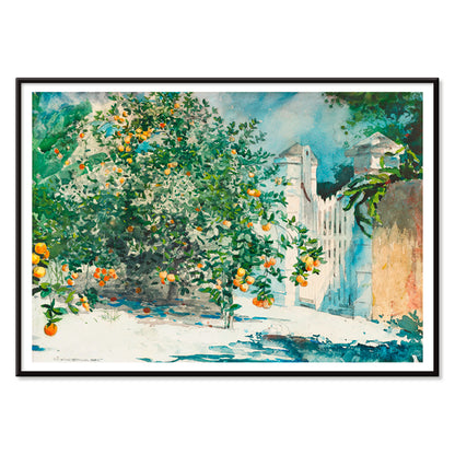 Orange Trees And Gate by Winslow Homer watercolor painting poster featuring lush orange trees and a white picket gate in a sunny garden scene, with black aluminium frame on white background