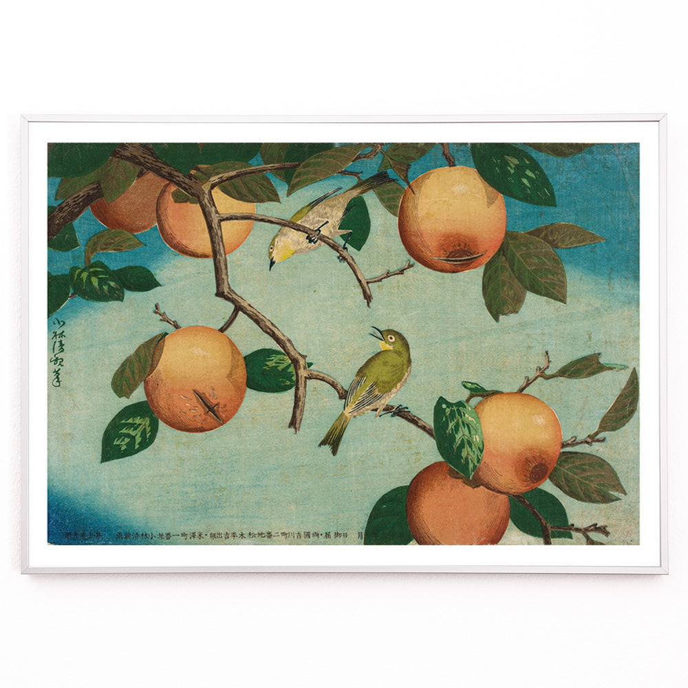 Closeup detail of Two white eye birds on persimmon tree with ripe fruit artwork by Kobayashi Kiyochika Persimmons and White Eyes poster