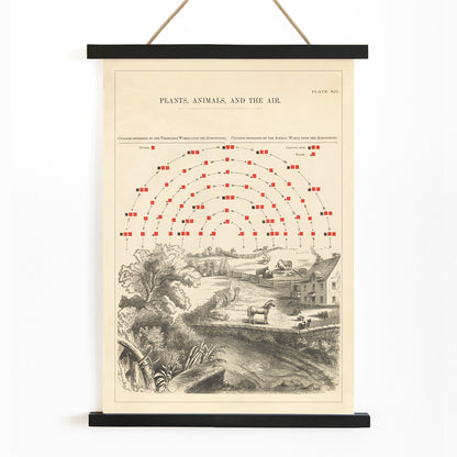 , with wooden magnetic frame on white background