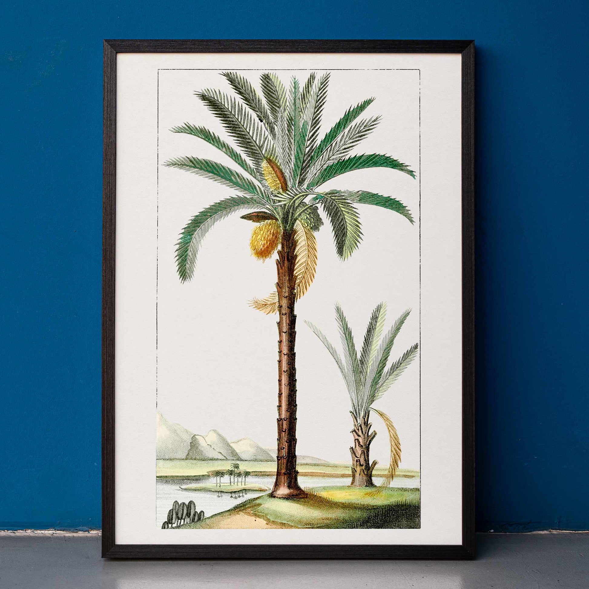 Hand drawn palm tree art print poster with detailed leaves and landscape background, framed and displayed in home decor