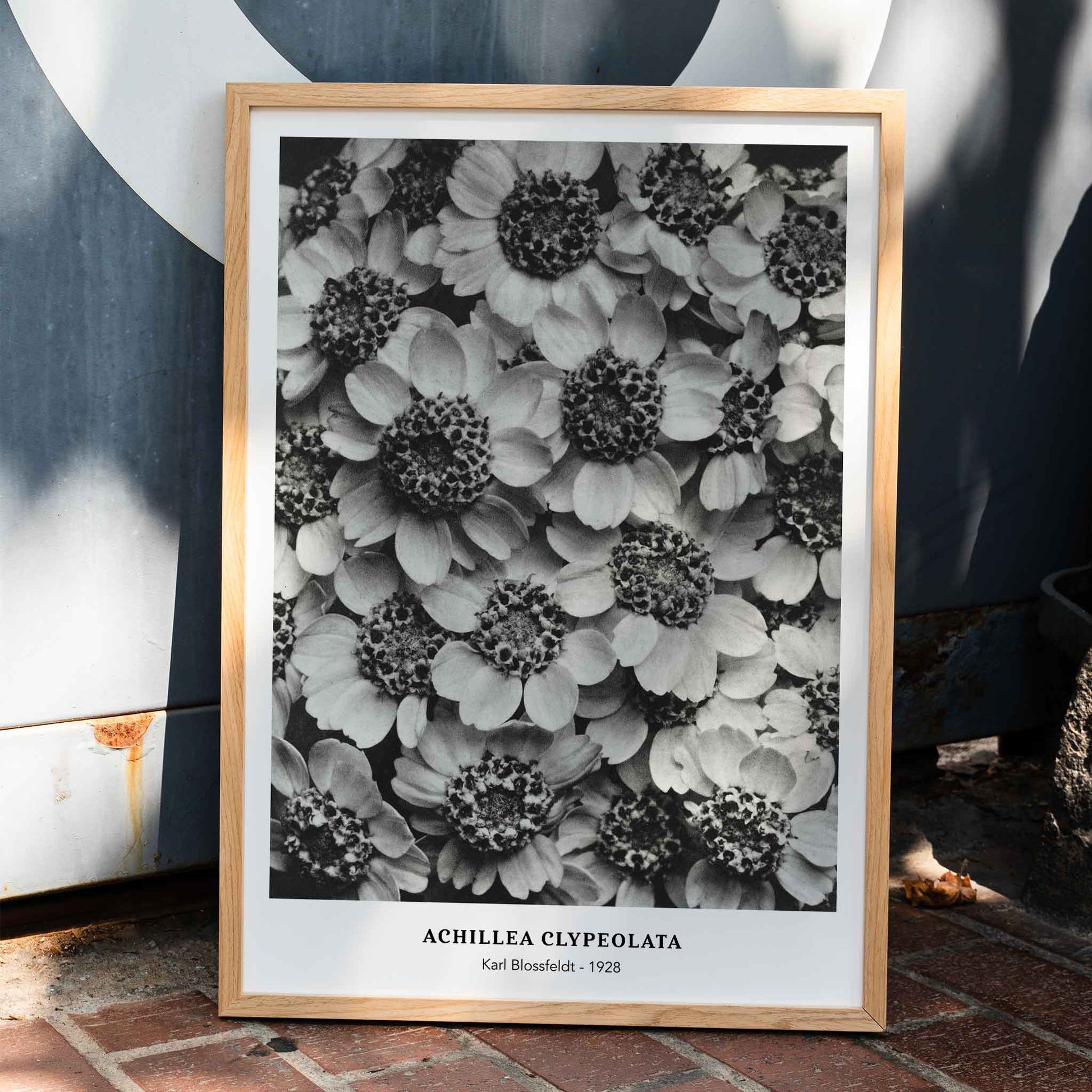 , framed and displayed in home decor