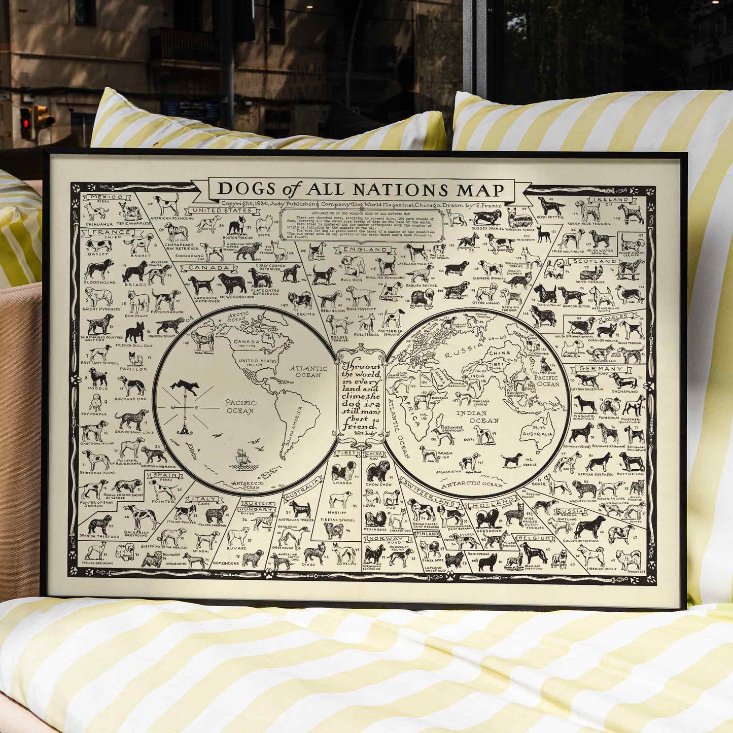Dogs of All Nations Map by Frantz E illustrated poster featuring various dog breeds from around the world, framed and displayed in home decor