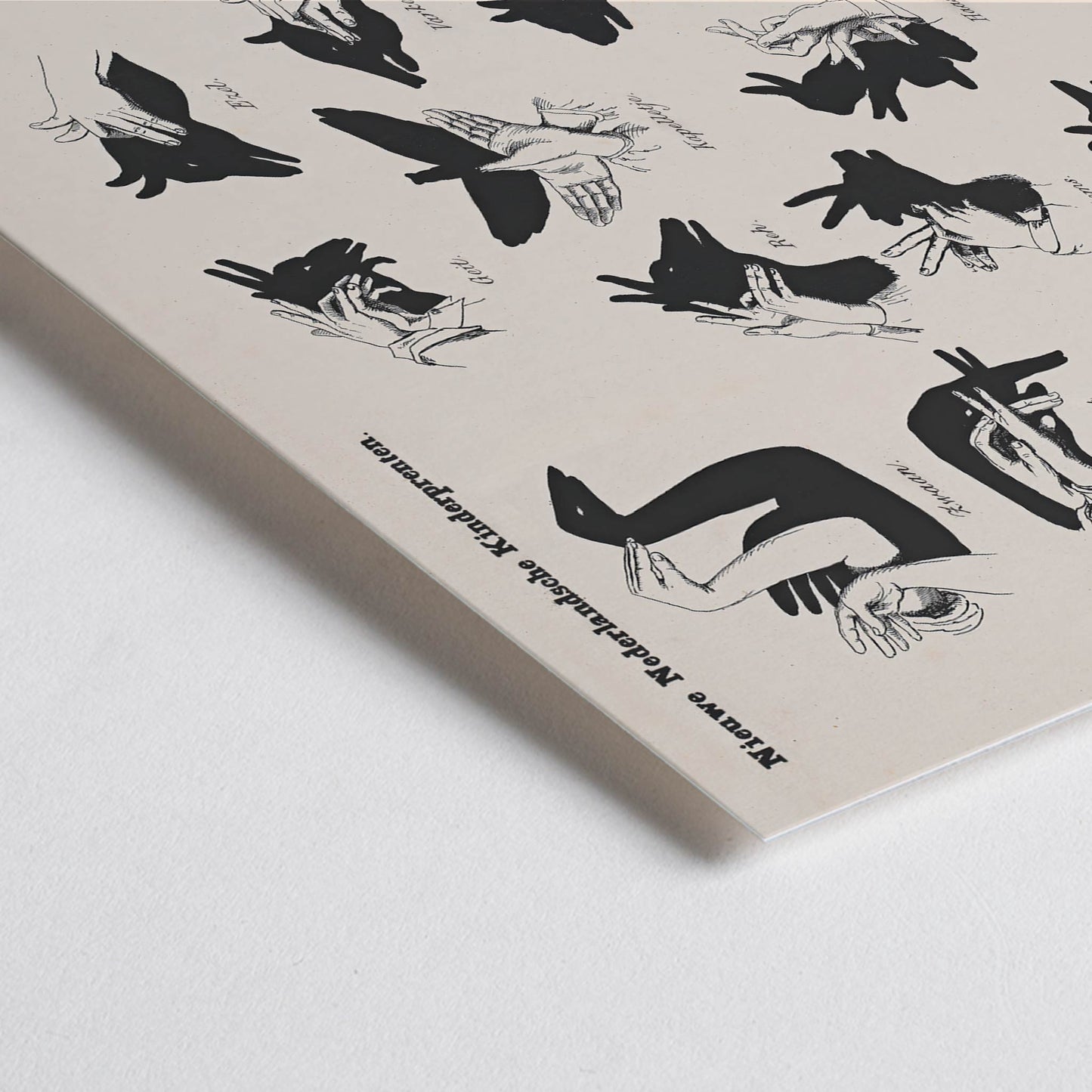 Closeup detail of Vintage hand shadow puppet illustrations and animal shapes poster from Shadow Hands by George Lodewijk Funke artwork