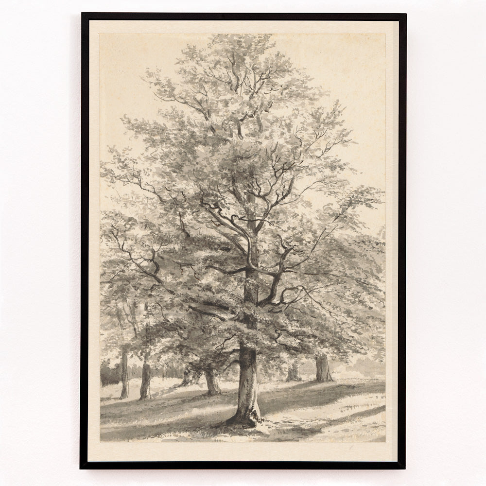 Closeup detail of Detailed drawing of a large tree in a sunlit natural landscape titled Big Tree by Cornelis Steffelaar poster