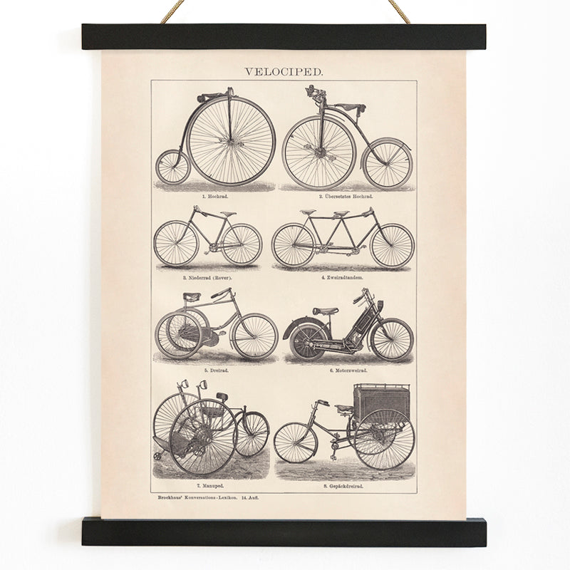 Vintage bicycle types and illustrations by Bibliographic institute of Liepzig Velociped with labeled bike types, with wooden magnetic frame on white background
