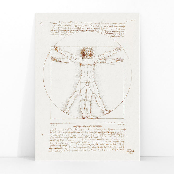 Vitruvian Man by Leonardo da Vinci human figure anatomical study with outstretched arms and legs inside circle and square geometric shapes artwork poster, framed and displayed in modern living room decor
