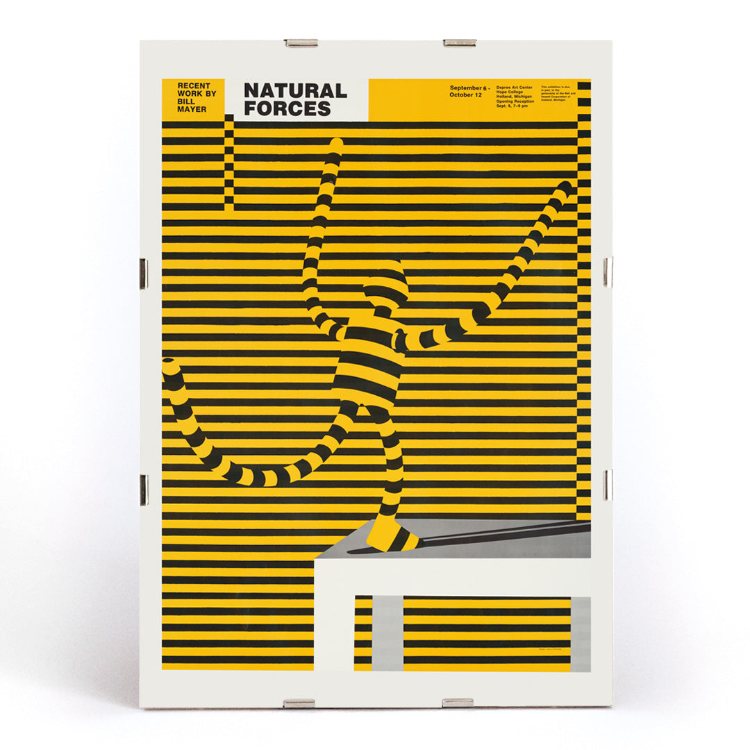 Natural forces artwork by Bill Mayer featuring a yellow and black striped abstract figure blending with lines poster, framed and displayed in modern living room decor