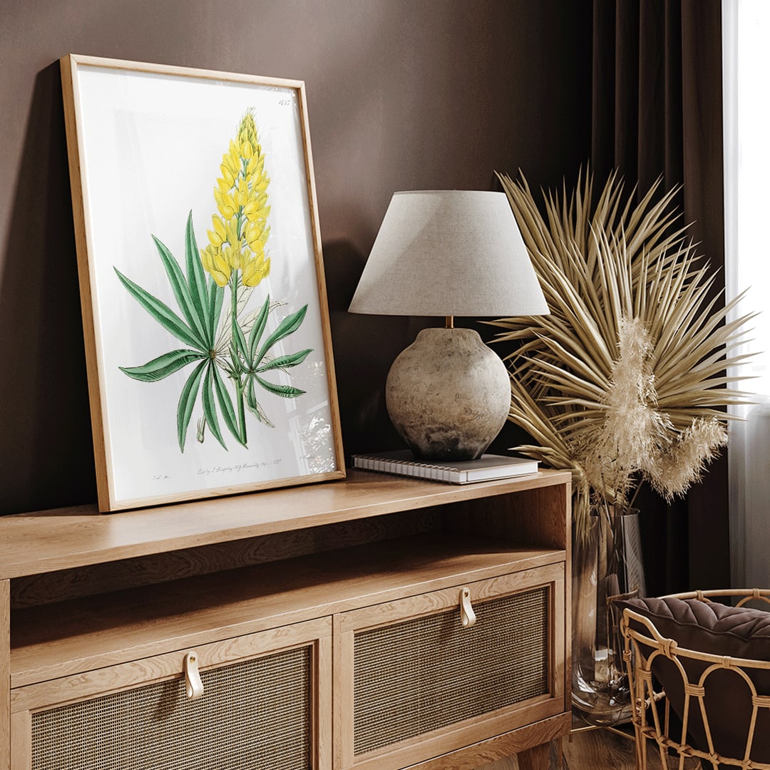 , framed and displayed in home decor